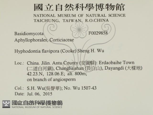 登錄號:F0029858藏品圖，第2張