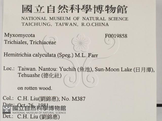 登錄號:F0019858藏品圖，第2張