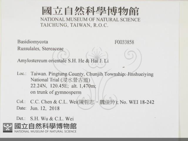 登錄號:F0033858藏品圖，第2張