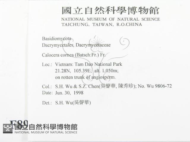 登錄號:F0008958藏品圖，第2張