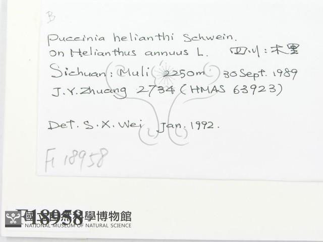 登錄號:F0018958藏品圖，第2張