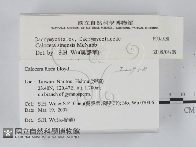 登錄號:F0020958藏品圖，第2張