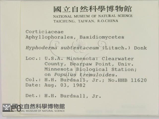登錄號:F0000958藏品圖，第2張
