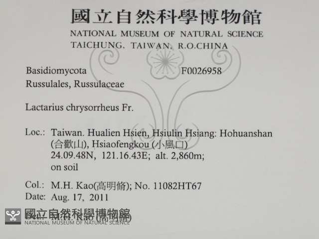 登錄號:F0026958藏品圖，第2張
