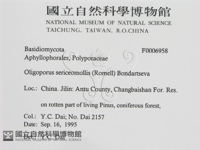 登錄號:F0006958藏品圖，第2張