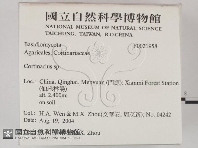 登錄號:F0021958藏品圖，第2張