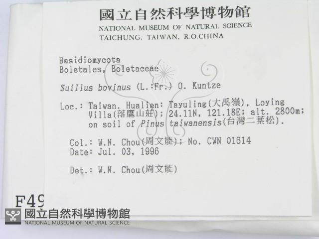 登錄號:F0004958藏品圖，第2張