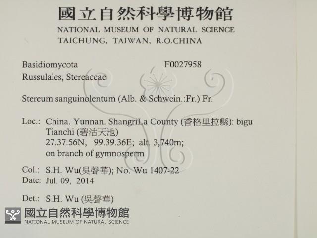 登錄號:F0027958藏品圖，第2張