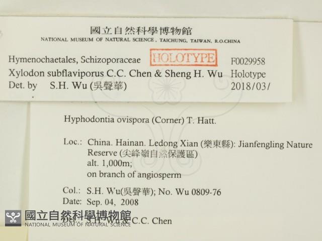 登錄號:F0029958藏品圖，第2張