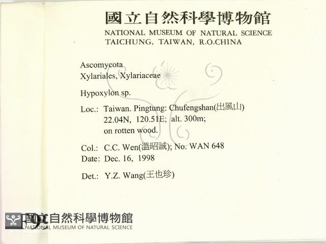 登錄號:F0009958藏品圖，第2張