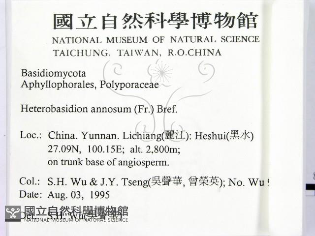 登錄號:F0003958藏品圖，第2張