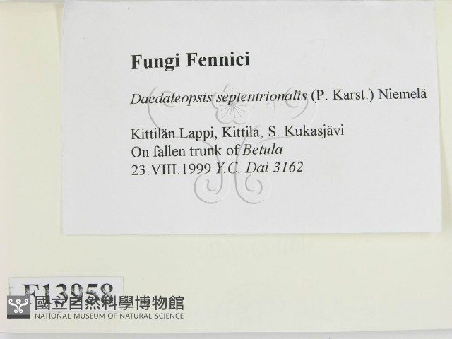登錄號:F0013958藏品圖，第2張