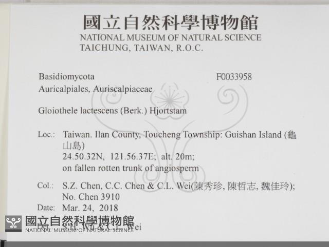 登錄號:F0033958藏品圖，第2張