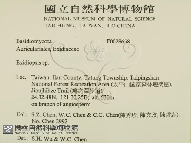 登錄號:F0028658藏品圖，第2張