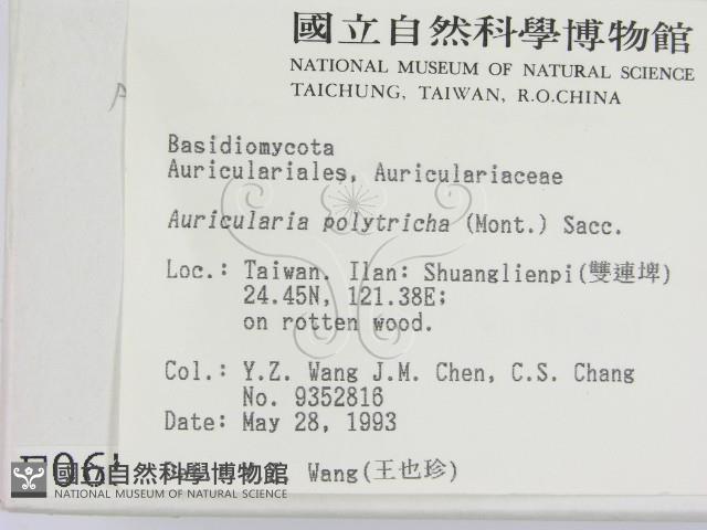 毛木耳藏品圖，第2張