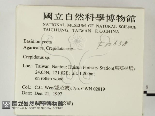 登錄號:F0010658藏品圖，第2張