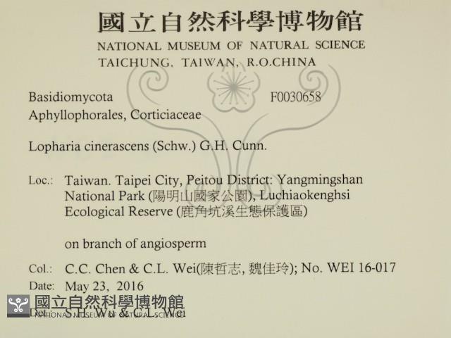 登錄號:F0030658藏品圖，第2張