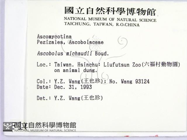登錄號:F0001658藏品圖，第2張