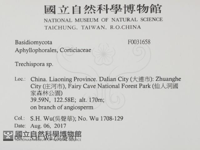 登錄號:F0031658藏品圖，第2張