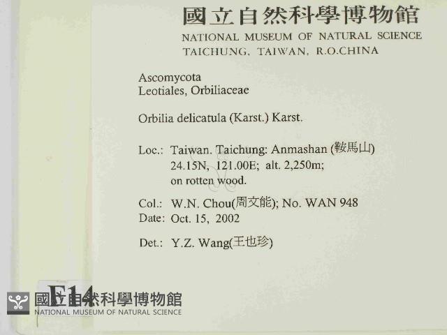 登錄號:F0014658藏品圖，第2張