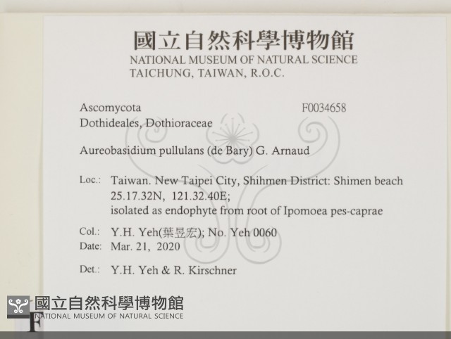 登錄號:F0034658藏品圖，第2張