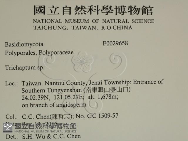 附毛菌屬藏品圖，第2張