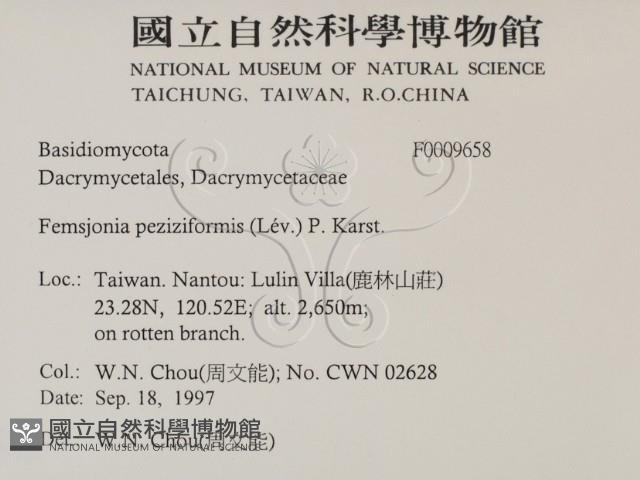 登錄號:F0009658藏品圖，第2張