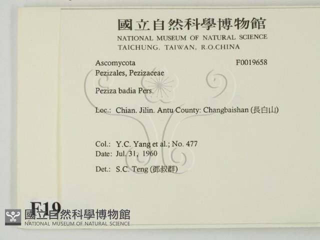 登錄號:F0019658藏品圖，第2張
