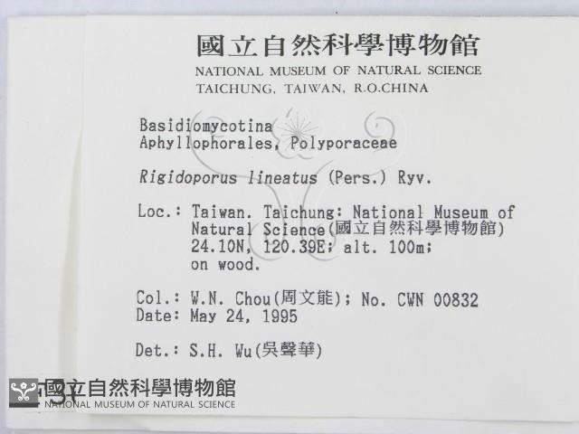 登錄號:F0003658藏品圖，第2張