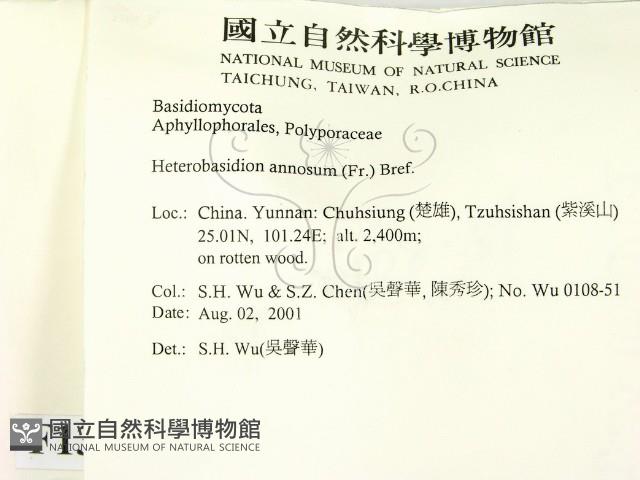 登錄號:F0013658藏品圖，第2張