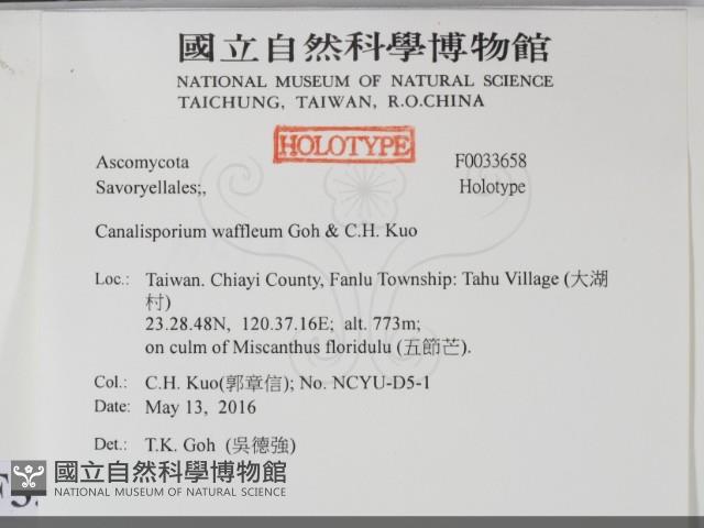 登錄號:F0033658藏品圖，第2張