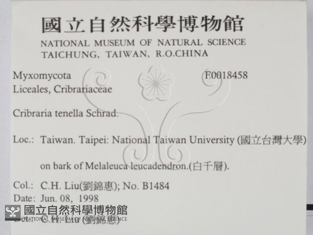 登錄號:F0018458藏品圖，第2張