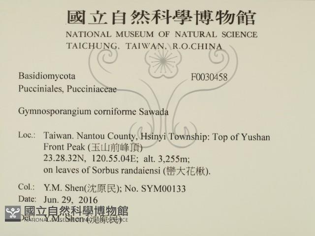 登錄號:F0030458藏品圖，第2張