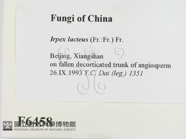 登錄號:F0006458藏品圖，第2張