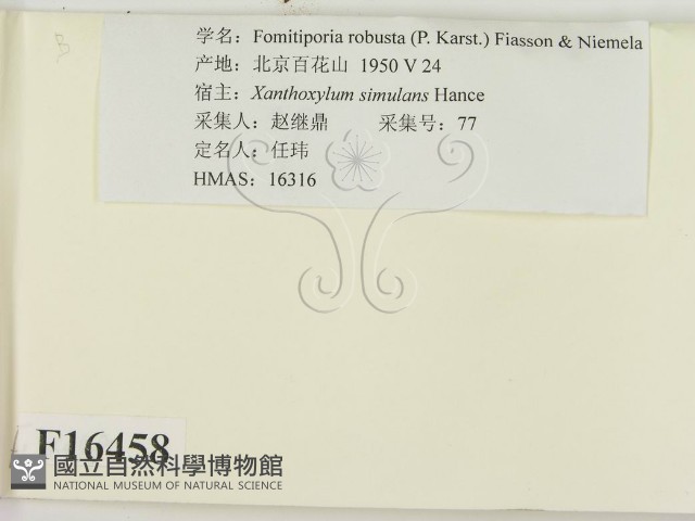 登錄號:F0016458藏品圖，第2張