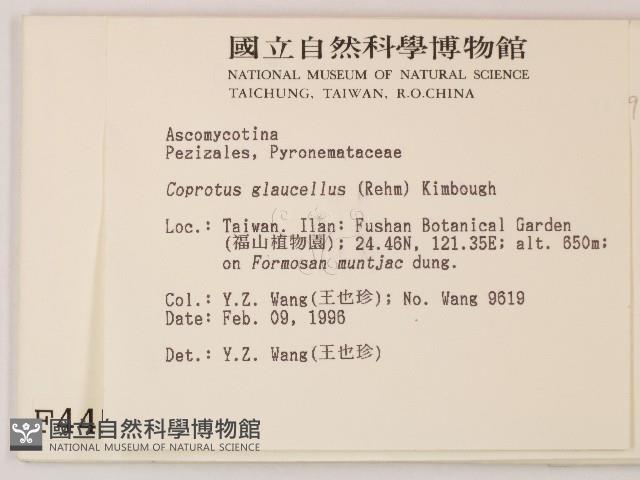 登錄號:F0004458藏品圖，第2張