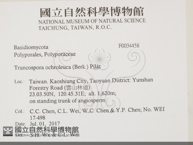 登錄號:F0034458藏品圖，第2張
