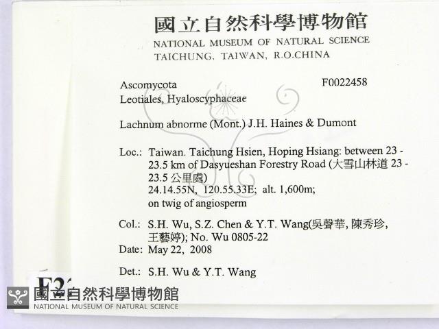 登錄號:F0022458藏品圖，第2張