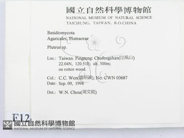 登錄號:F0012458藏品圖，第2張