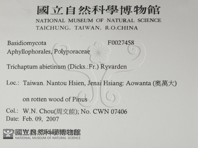 登錄號:F0027458藏品圖，第2張