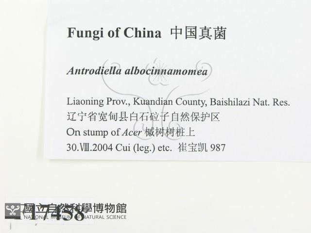 登錄號:F0017458藏品圖，第2張