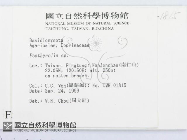 登錄號:F0005458藏品圖，第2張