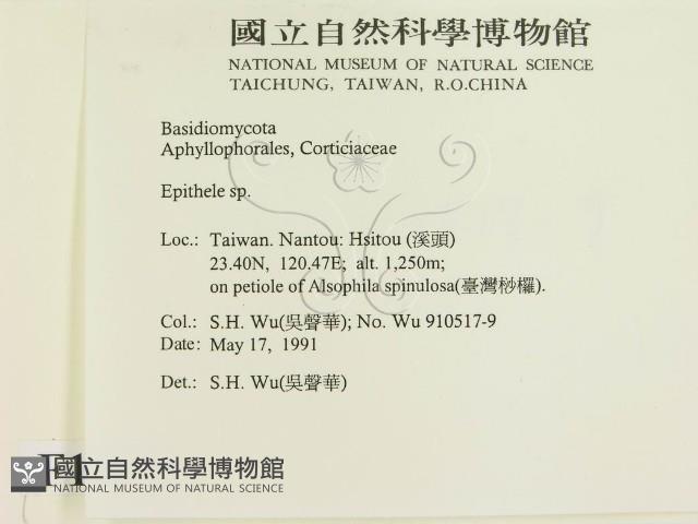 登錄號:F0015458藏品圖，第2張