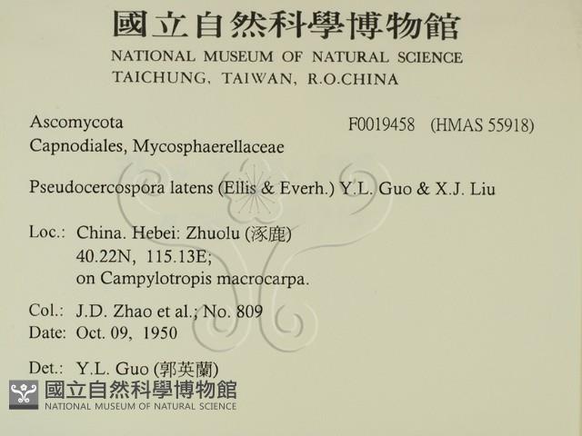 登錄號:F0019458藏品圖，第2張