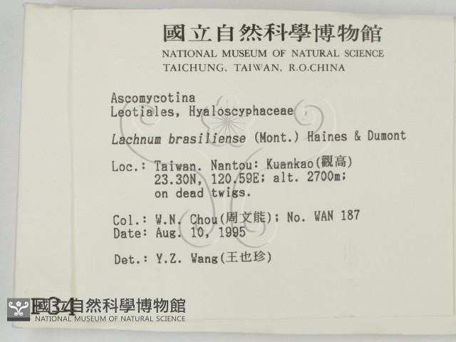 登錄號:F0003458藏品圖，第2張
