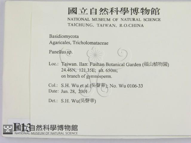登錄號:F0013458藏品圖，第2張