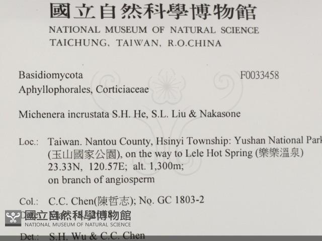 登錄號:F0033458藏品圖，第2張