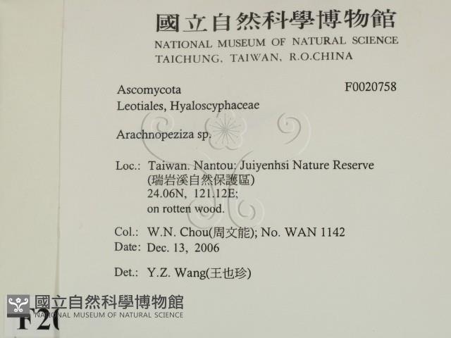 登錄號:F0020758藏品圖，第2張