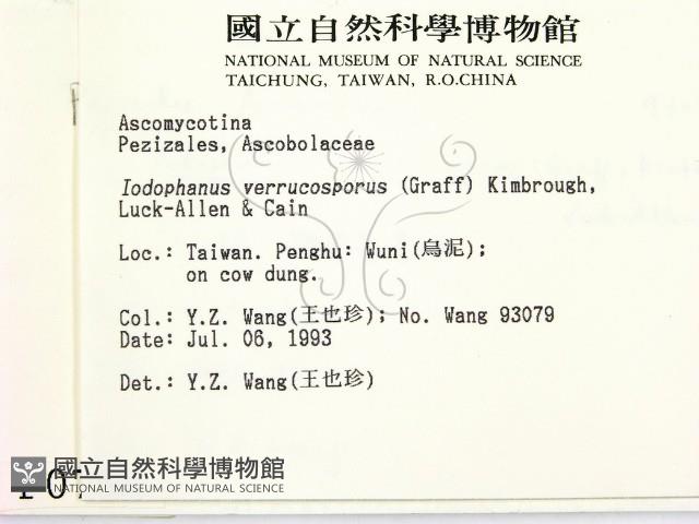 登錄號:F0000758藏品圖，第2張