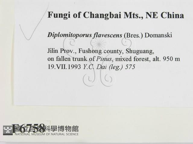 登錄號:F0006758藏品圖，第2張